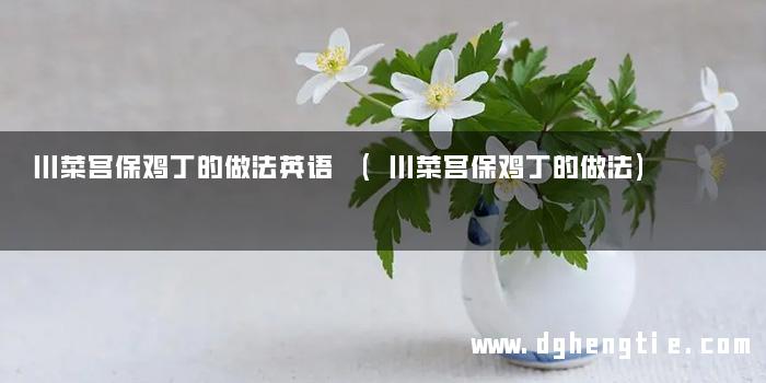 川菜宫保鸡丁的做法英语 (川菜宫保鸡丁的做法)